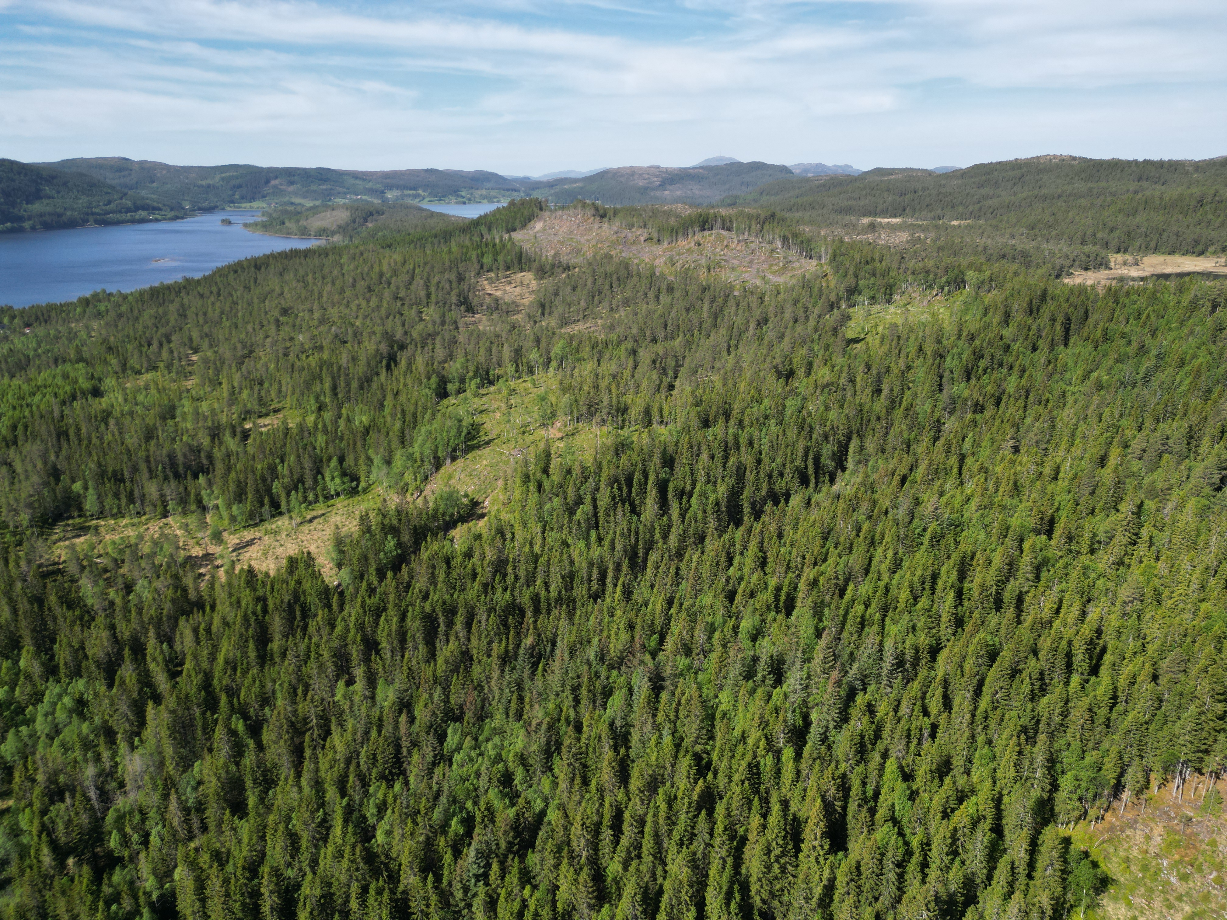 Landskapsøkologi for skognæringa NV-IBI