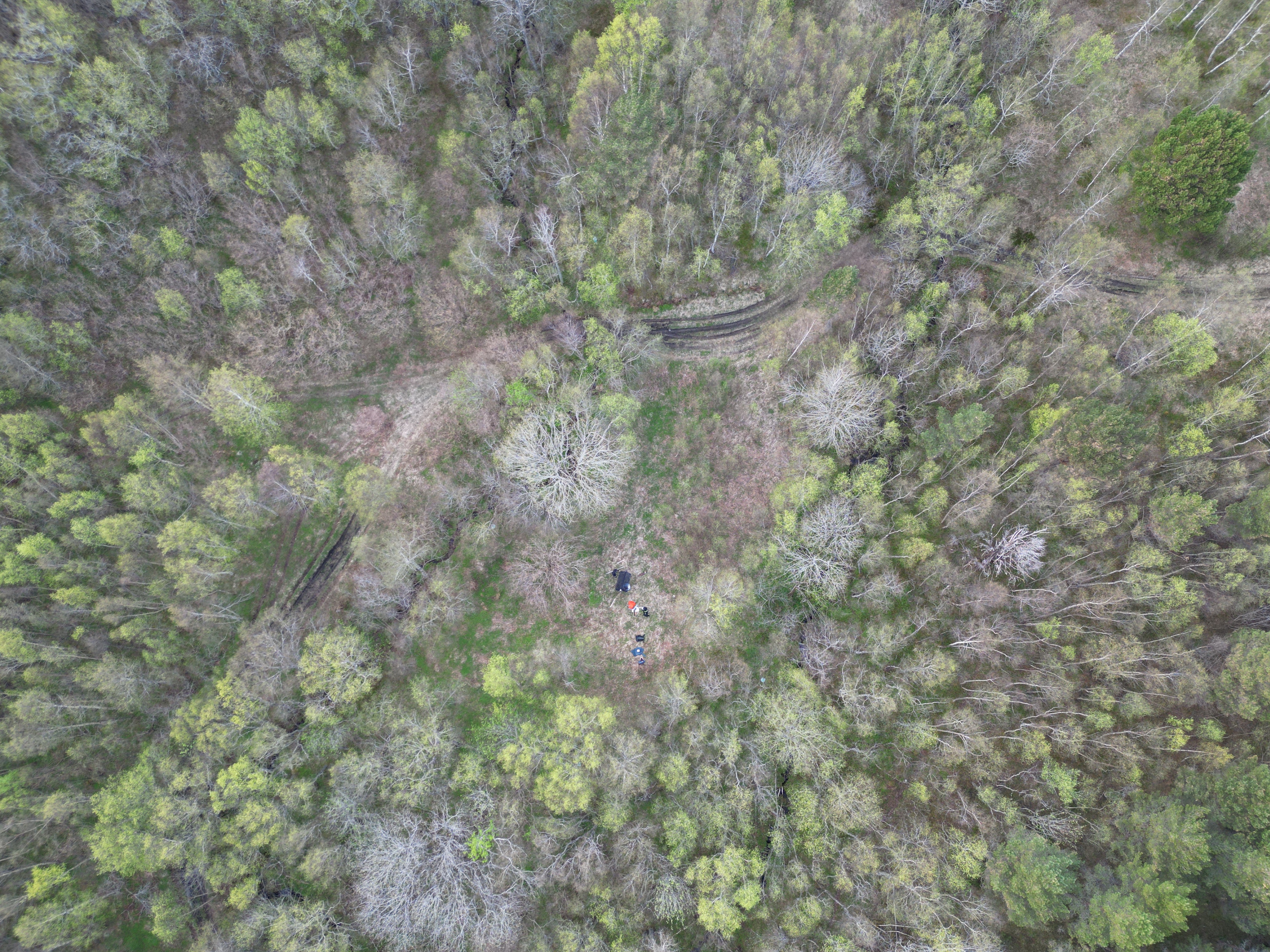 GIS (Geografiske informasjonssystem) for skognæringa  SU-IGE